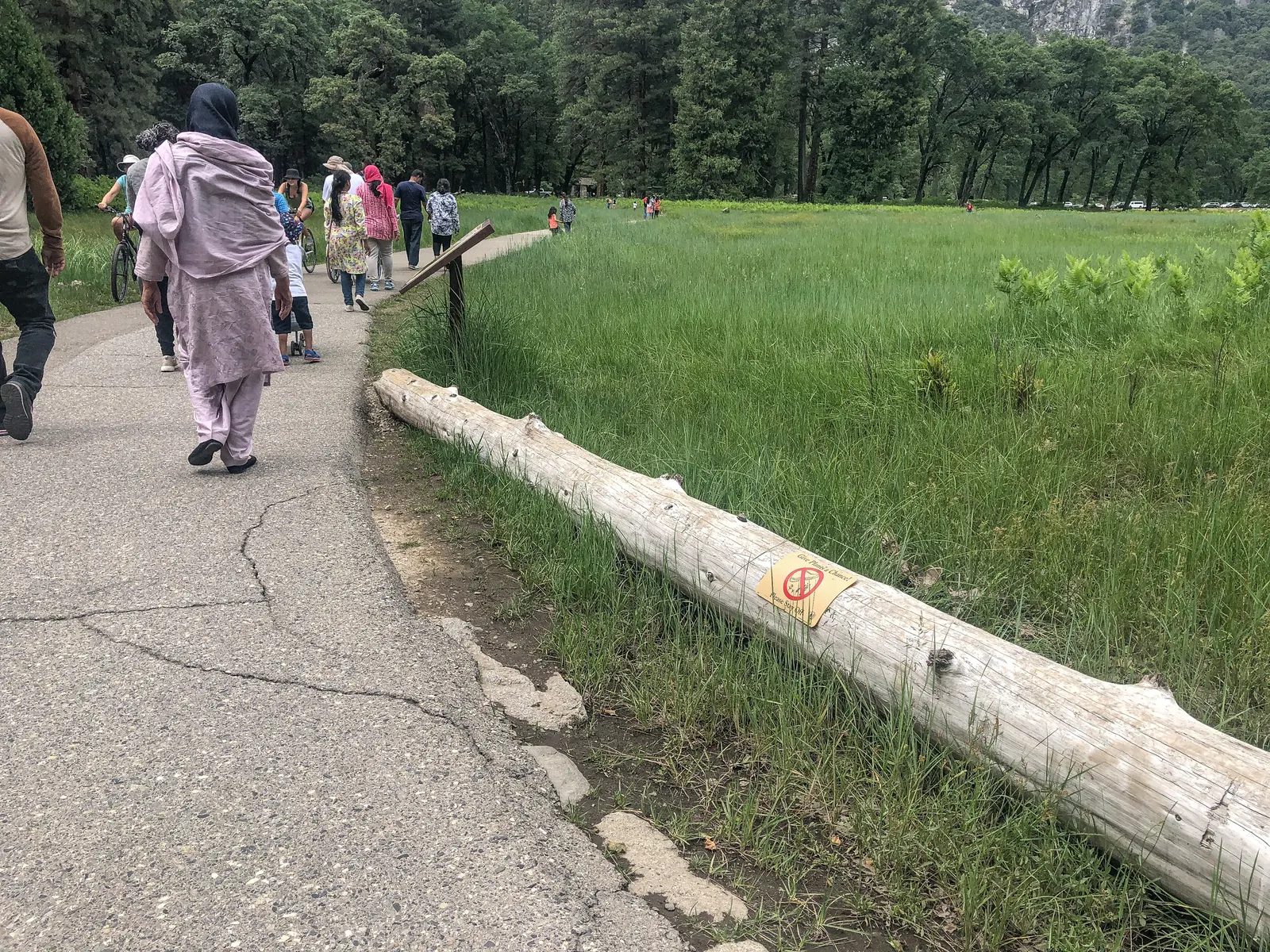 遊客沿鋪面步道前行，路旁圓木將步道與草地分開。