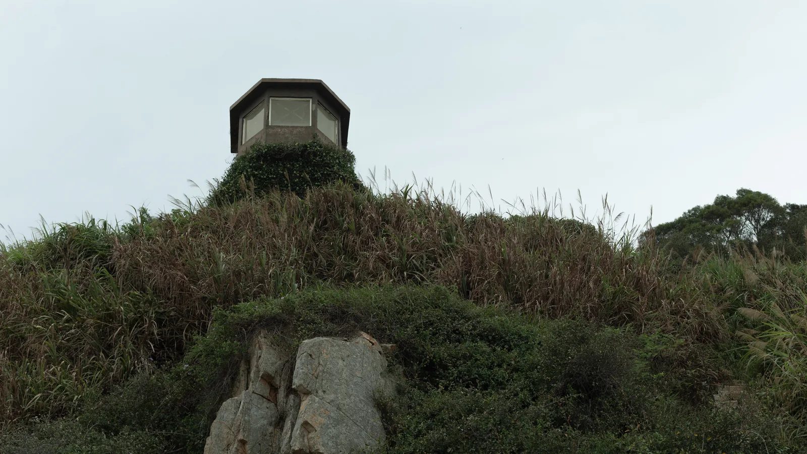 一座帶有多面窗戶的小型建物立在長滿草木的坡頂，下方露出灰色岩石。