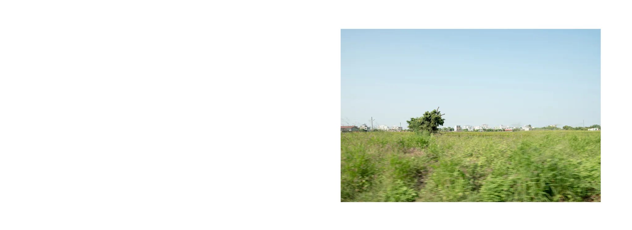 空白跨頁右側的照片，呈現草地延伸至遠處建築。