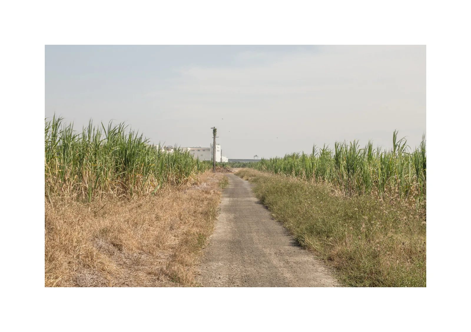 小冊子《1》第 3 頁：狹窄田間道路穿過高草，遠方可見一座直立設施。