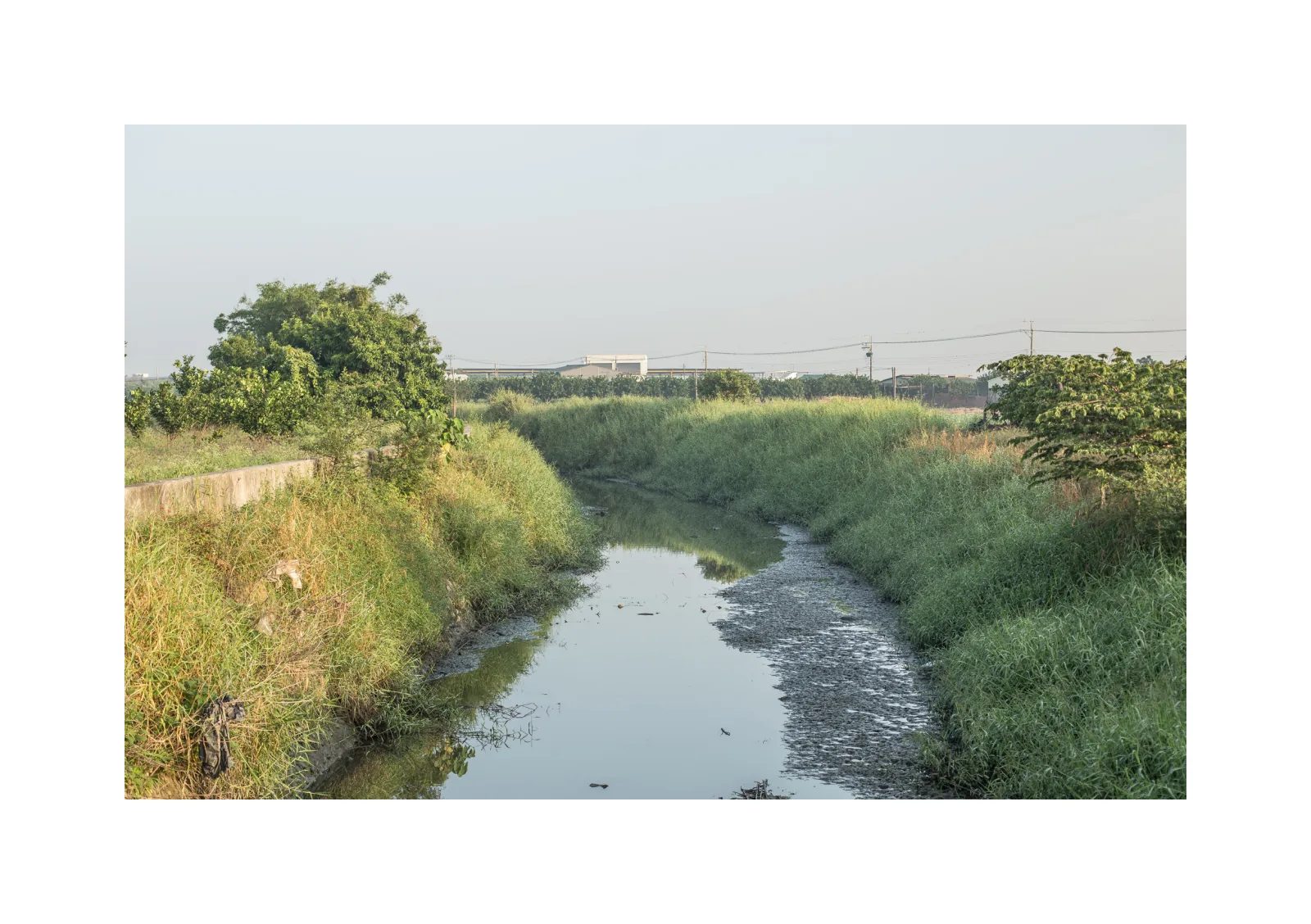 小冊子《1》第 22 頁：淺窄水道穿過濃密草叢，遠方有橋梁與車輛。