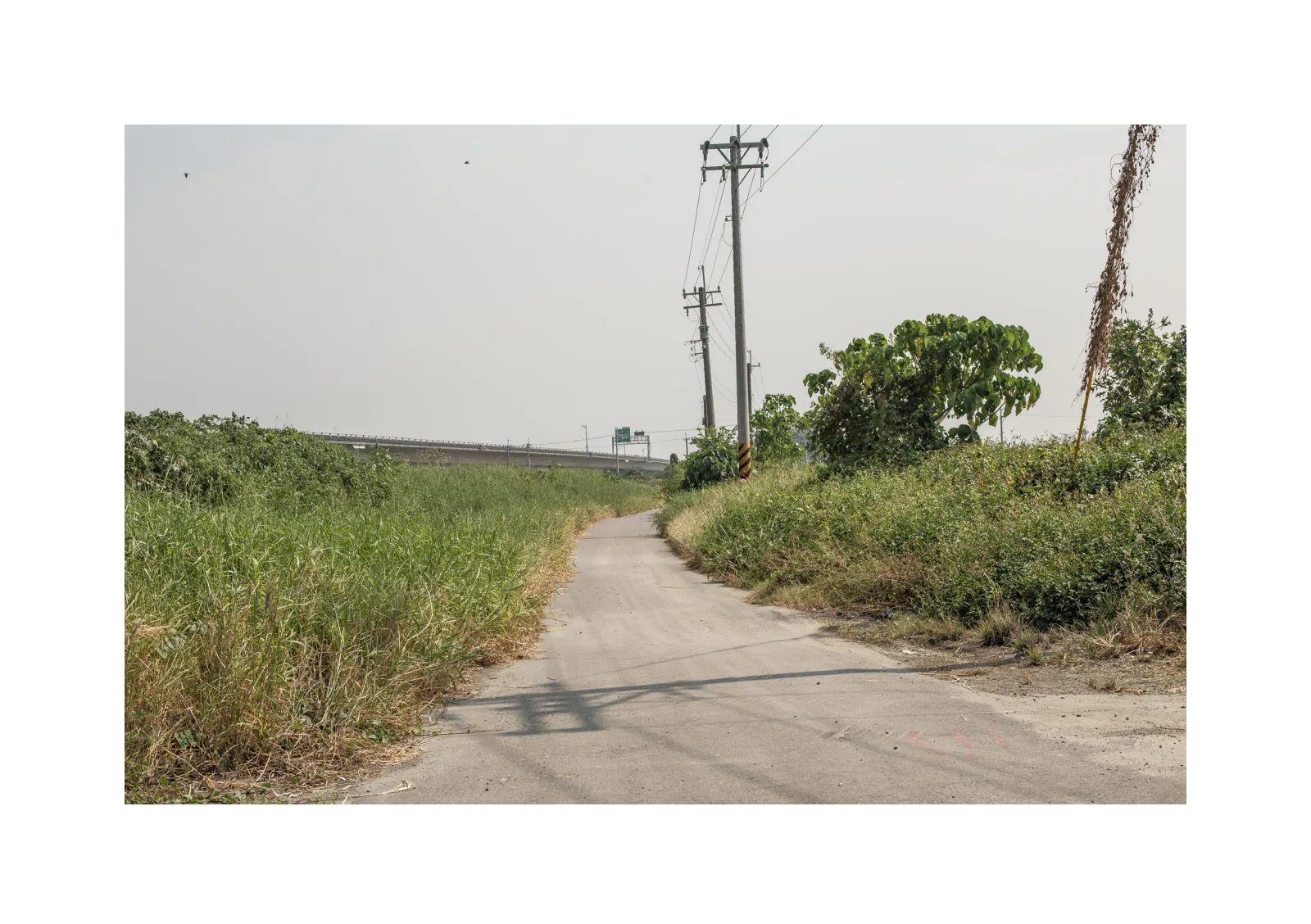 小冊子《1》第 34 頁：狹窄道路在高草與果樹間轉彎，電線桿沿路豎立。